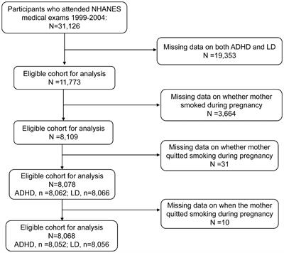 Maternal smoking cessation in the first trimester still poses an increased risk of attention-deficit/hyperactivity disorder and learning disability in offspring